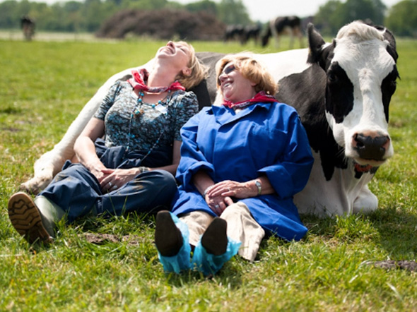 Grappige cadeaus pensioen collega koe knuffelen workshop