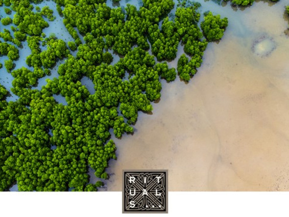 Kerstpakket met Rituals duurzaamheid